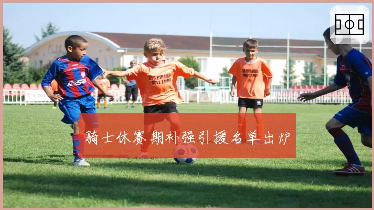 骑士休赛期补强引援名单出炉
