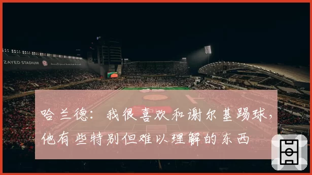 哈兰德：我很喜欢和谢尔基踢球，他有些特别但难以理解的东西