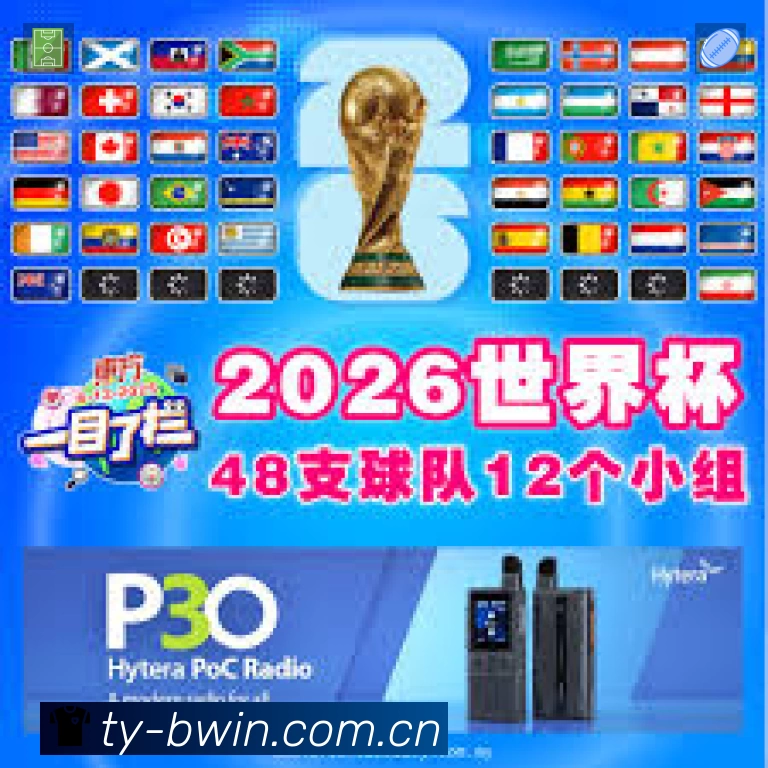 结构优化认证展示